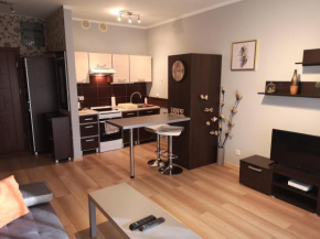 Apartament Marzenie 10 - Opole